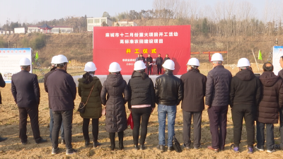 麻城高标准农田建设项目如火如荼