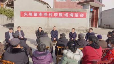 汪国兵在宋埠镇调研巩固拓展脱贫攻坚成果同乡村振兴有效衔接工作时强调：突出产业发展 建好美丽家园 推进乡村振兴 打造“李胜典范”