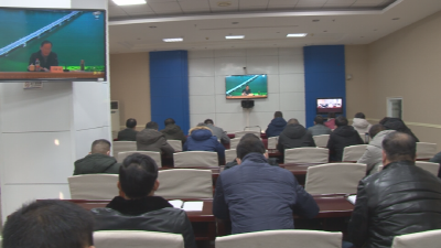 全省国土绿化现场推进电视电话会召开