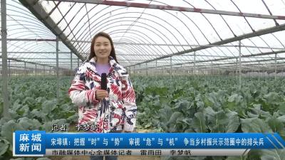 宋埠镇：把握“时”与“势” 审视“危”与“机” 争当乡村振兴示范圈中的排头兵