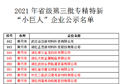 麻城市新增6家省级专精特新“小巨人”企业