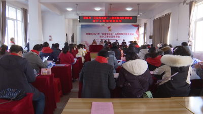 麻城市“红领巾奖章”二星章集中颁章活动暨全市少工委建设推进会召开