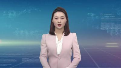 现代物流产业招商分局从高设标 力争先进
