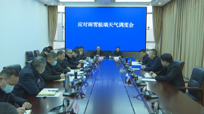 汪国兵主持召开应对雨雪极端天气调度会