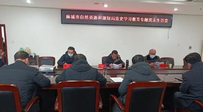 市自然资源和规划局召开党史学习教育专题民主生活会