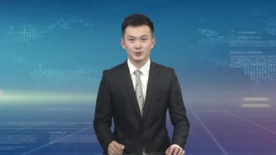 桃园社区：党建带动 多元参与 共筑社区防疫堡垒