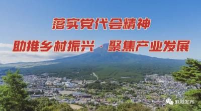 【落实党代会精神 · 助推乡村振兴 · 聚焦产业发展】龟山镇：推进茶旅融合 打造康养胜地 助力乡村振兴