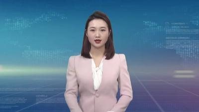 市中心城市创建及城市建设重点项目领导小组统筹推进中心城市创建及城市建设重点项目