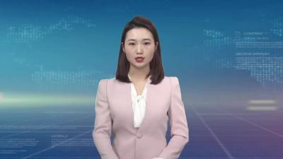 文旅、康养、教育产业要找好项目 招大项目 当好先锋