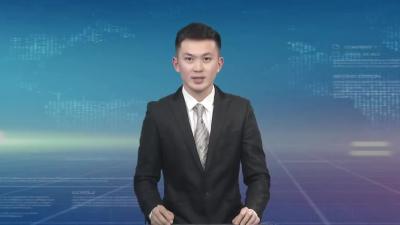 我市召开全市文艺工作座谈会