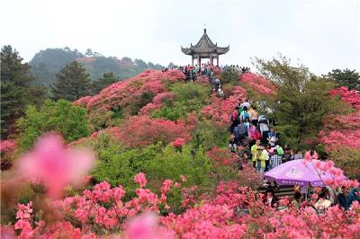 稳中快进的麻城“密码”