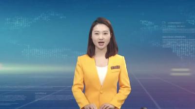 重点城市道路建设项目推进会召开