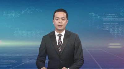 市领导调研乡村振兴示范带项目推进和产业发展工作
