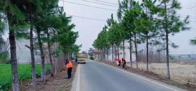 草长莺飞二月天  农村公路植树忙