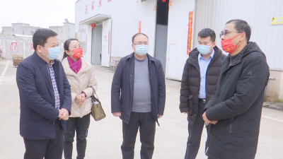 裴永波调研“开门红”重点企业：问需于企 推动转型升级 强链补链 勇夺“开门红”