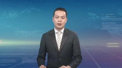 黄冈市产业链招商任务分解工作会议召开