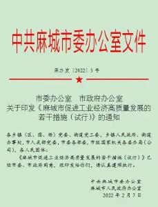 每年3000万元！麻城出台“黄金十条”助力挺进全国百强县市