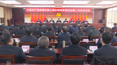 麻城市第九届纪律检查委员会第二次全体会议举行