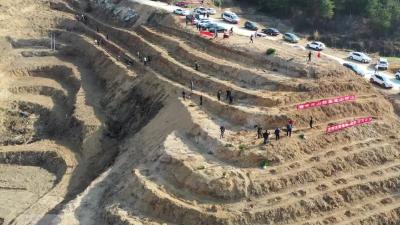 阎家河镇义务植树添新绿