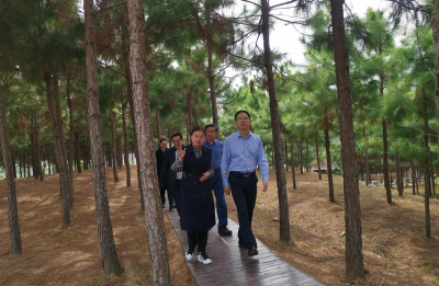 市领导调研统一战线助力乡村振兴工作