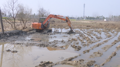 夫子河镇现代休闲农业产业园项目开工建设