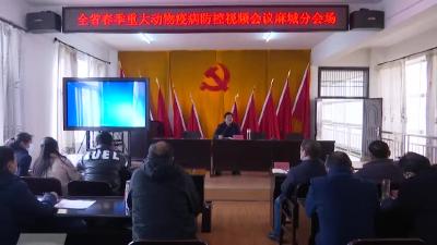 畜牧兽医工作紧紧抓住重点工作牛鼻子