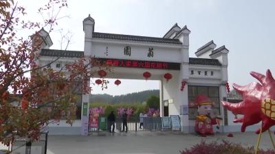 麻城菊香人家：带你走入百花深处 聆听花开的声音