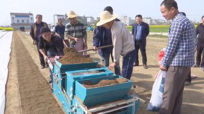 无纺布集中育秧新技术促进水稻增产增收