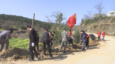 夫子河镇：植树添绿  厚植生态底色