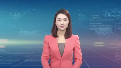 董波到麻城调研粮食安全和乡村振兴工作