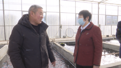 洪再林到麻城调研