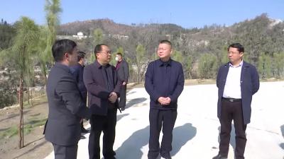 汪国兵参加义务植树活动