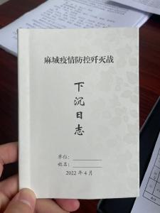 麻城：防疫服务沉到底 党员肩上沉甸甸 群众心里暖融融