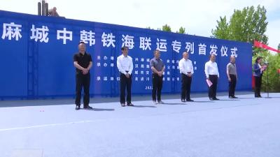 “一带一路”麻城中韩铁海联运首发专列开行
