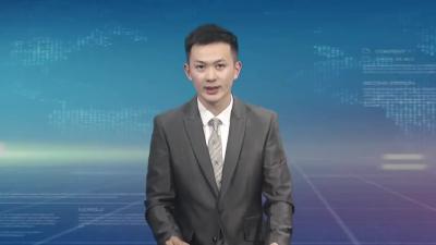 汪国兵强调：坚持问题导向 强化要素保障 坚定不移加快推进大别山电厂重点项目建设
