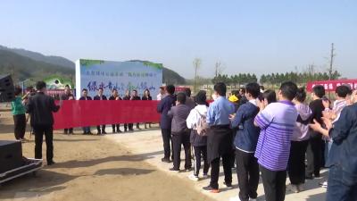 “我为麻城种棵树”大型绿化公益植树活动为麻城增绿添彩