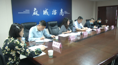 市政府与和茂电子、方正多策基金项目举行视频洽谈