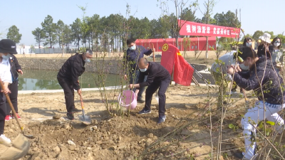 “我为麻城种棵树”大型绿化公益植树活动为麻城增绿添彩