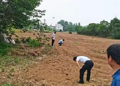 【喜迎二十大 乐享丰收节】麻城各地各单位扎实推进丰收节筹备工作