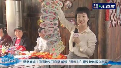 央视直播特别节目《走进老区看新貌》激发乡村振兴精气神