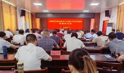 歧亭镇举办学习贯彻党的十九届六中全会精神专题研讨班