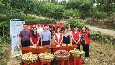 【下基层 察民情 解民忧 暖民心】麻城各地各单位用心用情用力办好民生实事（五）