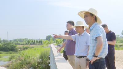 市领导到白果河开展巡河工作