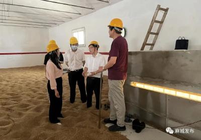 市发改局组织开展2022年地方储备粮轮入小麦验收工作