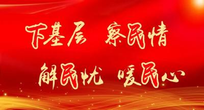 【下基层 察民情 解民忧 暖民心】麻城各地各单位用心用情用力办好民生实事（三十六）