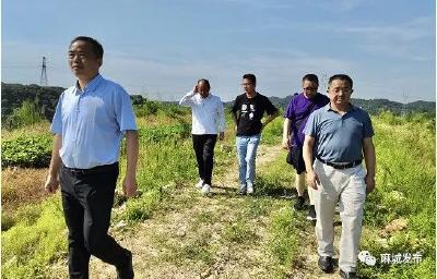 【下基层 察民情 解民忧 暖民心】麻城各地各单位用心用情用力办好民生实事（三十三）