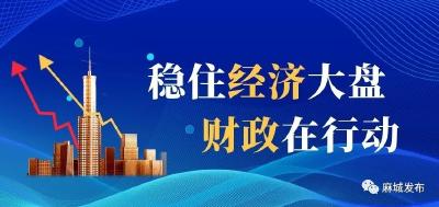 【稳住经济大盘 财政在行动】助企解难促发展稳经济