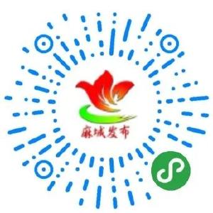 【直播预告】明天上午9点！麻城市应急管理局将做客《党风政风热线》