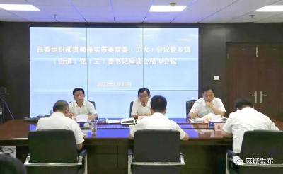 【大干下半年 奋力保目标】麻城各地各部门学习贯彻市委常委会（扩大）会议暨乡镇（街道）党（工）委书记座谈会会议精神（二）