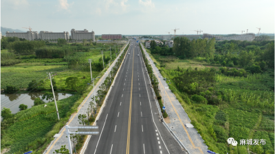 关注！我市首条建有地下人行通道的市政道路正式竣工通车